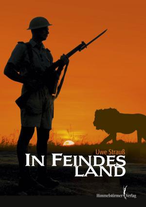 Cover of the book In Feindesland by Andrea Conrad