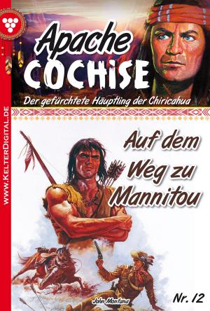 Book cover of Apache Cochise 12 – Western
