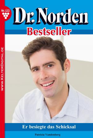 bigCover of the book Dr. Norden Bestseller 123 – Arztroman by 