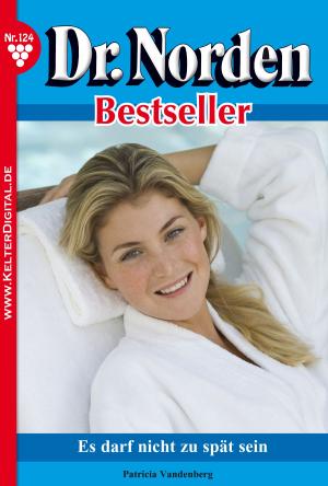 bigCover of the book Dr. Norden Bestseller 124 – Arztroman by 