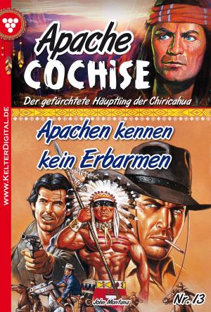 Cover of the book Apache Cochise 13 – Western by Britta Winckler