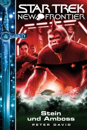 Book cover of Star Trek - New Frontier 13: Stein und Amboss