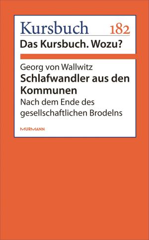 Cover of the book Schlafwandler aus den Kommunen by Berthold Leibinger