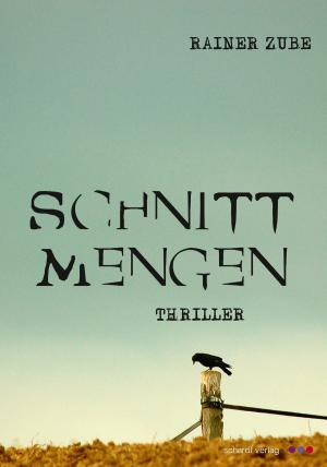 Cover of the book Schnittmengen: Thriller by Hartmut Rißmann