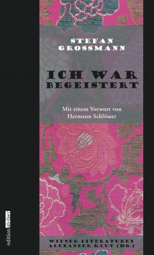 Cover of the book Ich war begeistert by EJ Runyon
