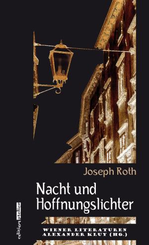 Book cover of Nacht und Hoffnungslichter