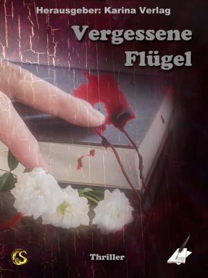 Book cover of Vergessene Flügel