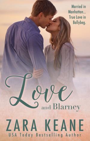 Cover of the book Love and Blarney by J.C. Reed