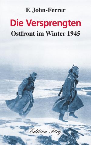 Cover of the book Die Versprengten - Ostfront im Winter 1945 by F. John-Ferrer