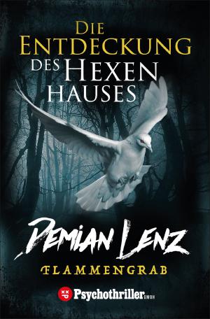Cover of Die Entdeckung des Hexenhauses