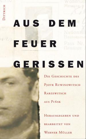 Cover of Aus dem Feuer gerissen