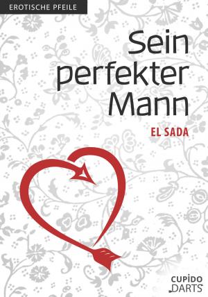 Book cover of Cupido Darts - Sein perfekter Mann