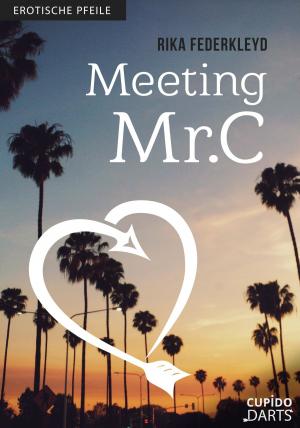 Book cover of Cupido Darts - Meeting Mr. C