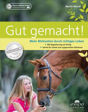 Cover of the book Gut gemacht! by Marv Walker
