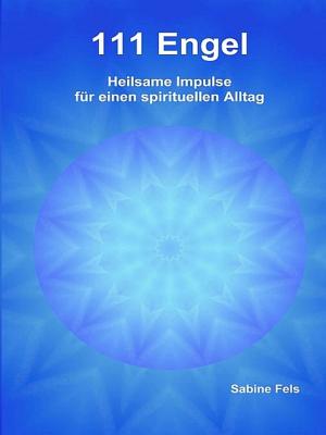 Book cover of 111 Engel
