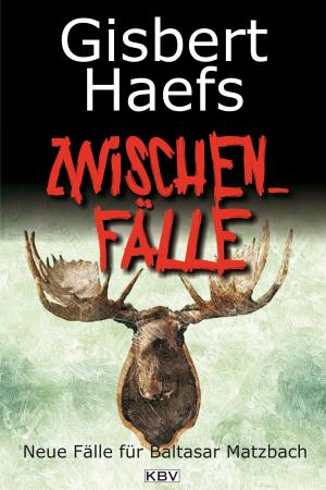 Cover of the book Zwischenfälle by Regine Fiedler