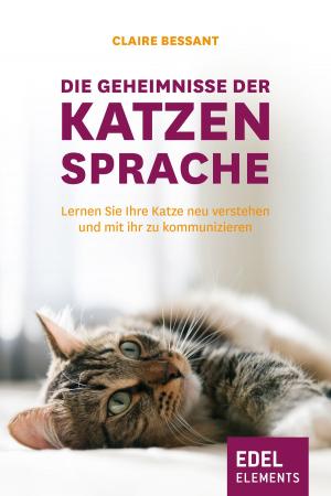 Cover of the book Die Geheimnisse der Katzensprache by Guido Knopp