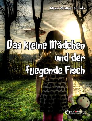 Cover of the book Das kleine Mädchen und der fliegende Fisch by Hans Stamer