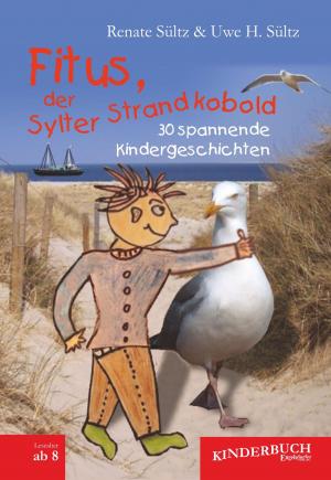 Cover of the book Fitus, der Sylter Strandkobold by Bernd Sommer
