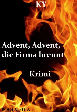Cover of Advent, Advent, die Firma brennt: Krimi