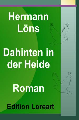 Cover of Dahinten in der Heide
