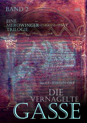 Cover of the book Die vernagelte Gasse by Jürgen Alberts
