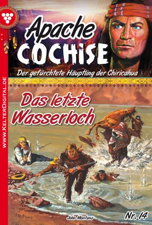 Book cover of Apache Cochise 14 – Western