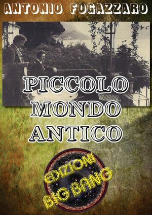 Book cover of Piccolo mondo antico