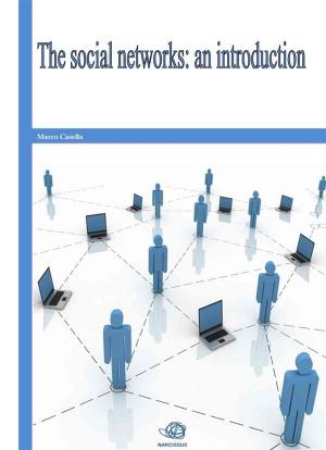 Book cover of The social networks: an introduction