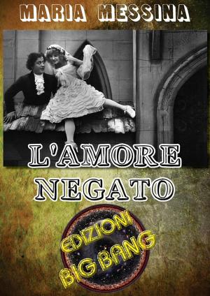 Book cover of L'amore negato