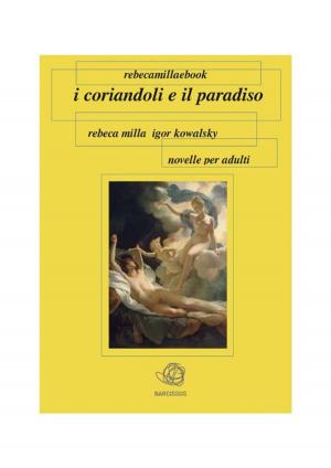 bigCover of the book I Coriandoli e il Paradiso by 
