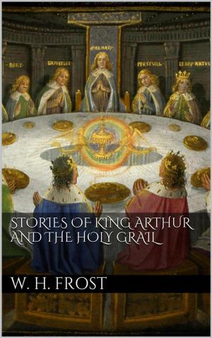 Book cover of Stories of King Arthur and the Holy Grail