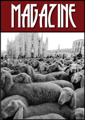 Cover of the book Magazine by Stefano Bertuzzi