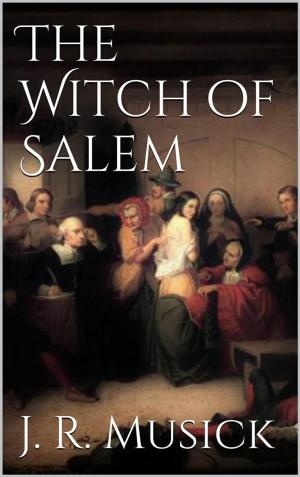 Cover of the book The Witch of Salem by S.R. Mitchell