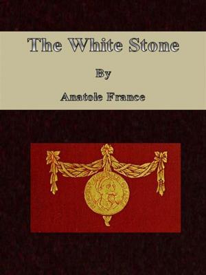 Book cover of The White Stone