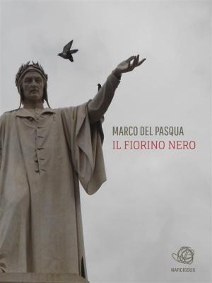 Book cover of Il fiorino nero