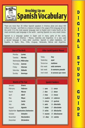 bigCover of the book Spanish Vocabulary (Blokehead Easy Study Guide) by 