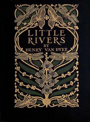 Book cover of Little Rivers