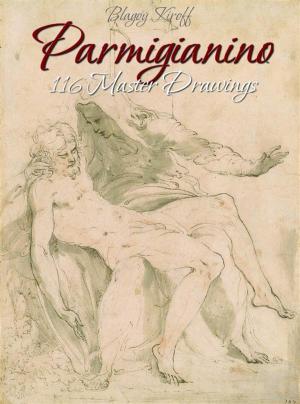 Book cover of Parmigianino: 116 Master Drawings