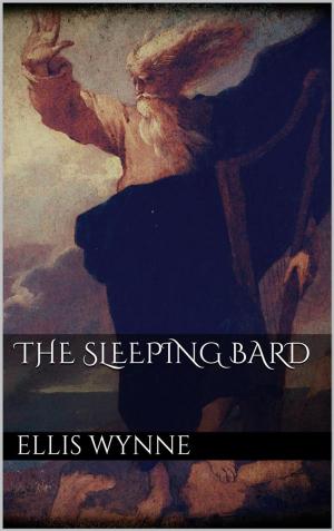 Cover of the book The Sleeping Bard by Dolf Hartsuiker