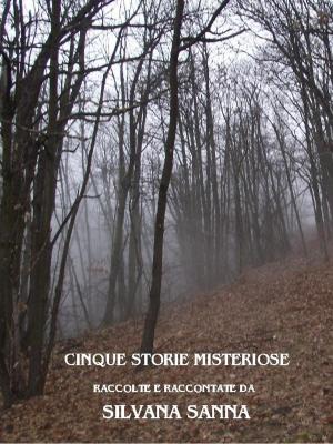 Book cover of Cinque storie misteriose