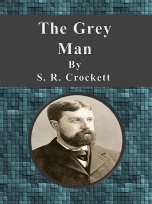 Book cover of The Grey Man