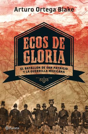 Cover of the book Ecos de gloria by Martín Abrisketa