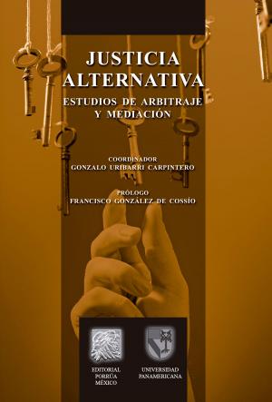 Cover of the book Justicia alternativa by Milagros Otero Parga