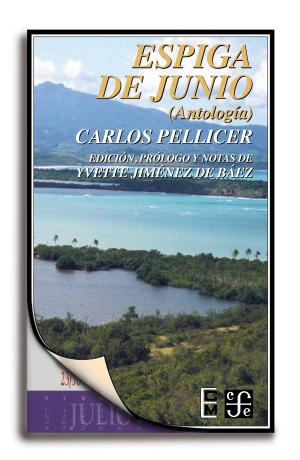 Cover of the book Espiga de junio (antología) by José Luis Díaz