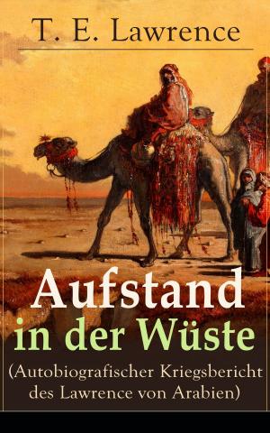 Cover of the book Aufstand in der Wüste (Autobiografischer Kriegsbericht des Lawrence von Arabien) by Paul Grabein