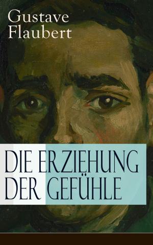 Cover of the book Die Erziehung der Gefühle by Fritz Mauthner