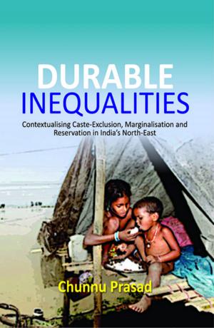 Cover of the book Durable Inequalities by Nityananda Patnaik