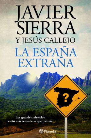 Cover of the book La España extraña by Silvia García Ruiz