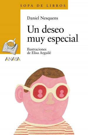 Cover of the book Un deseo muy especial by Andreu Martín, Jaume Ribera